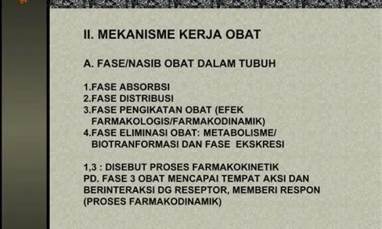 Ilustrasi sistem imun melawan virus