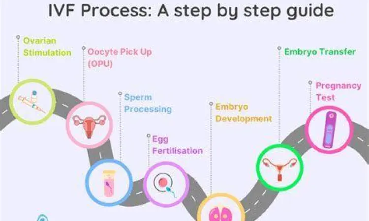 Stimulasi Ovarium Ilustrasi stimulasi ovarium pada program hamil