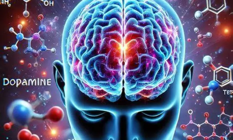Sistem Saraf dan Gairah Diagram sistem saraf otak dan neurotransmiter