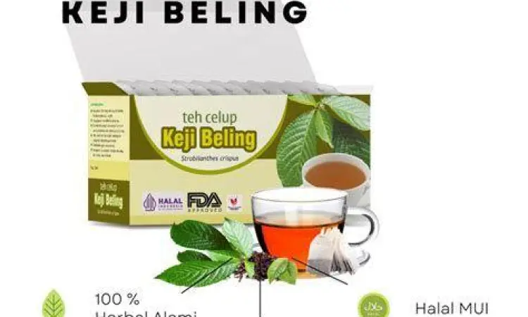 Seduhan teh daun keji beling untuk terapi ginjal