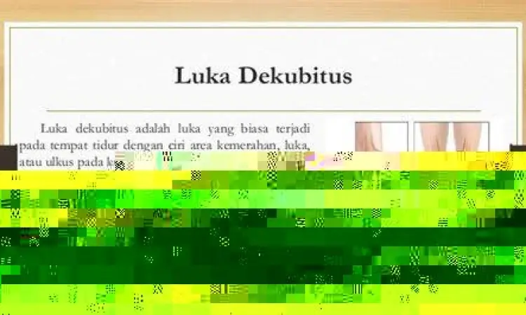 Anatomi lapisan kulit yang terkena luka dekubitus