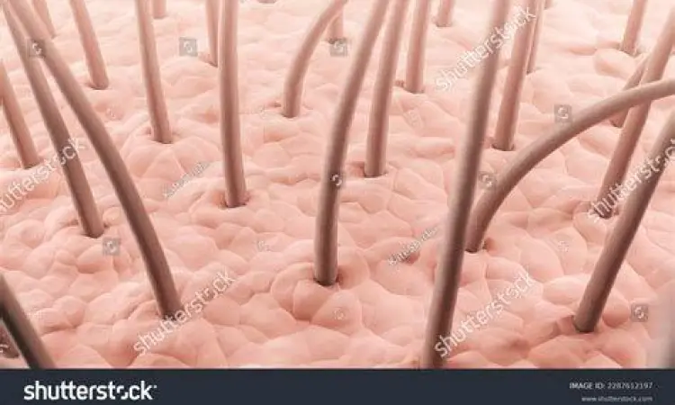 Kondisi kulit kepala sehat bebas ketombe