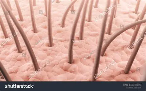 Kulit Kepala Sehat Kondisi kulit kepala sehat bebas ketombe