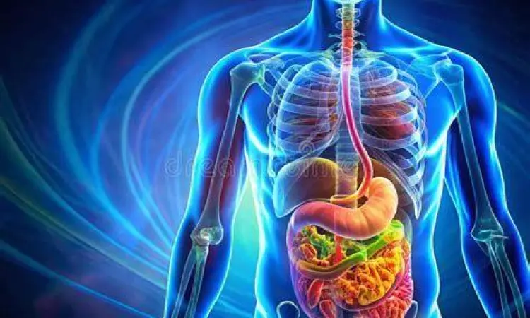 Kesehatan Saluran Cerna Ilustrasi sistem pencernaan manusia yang sehat