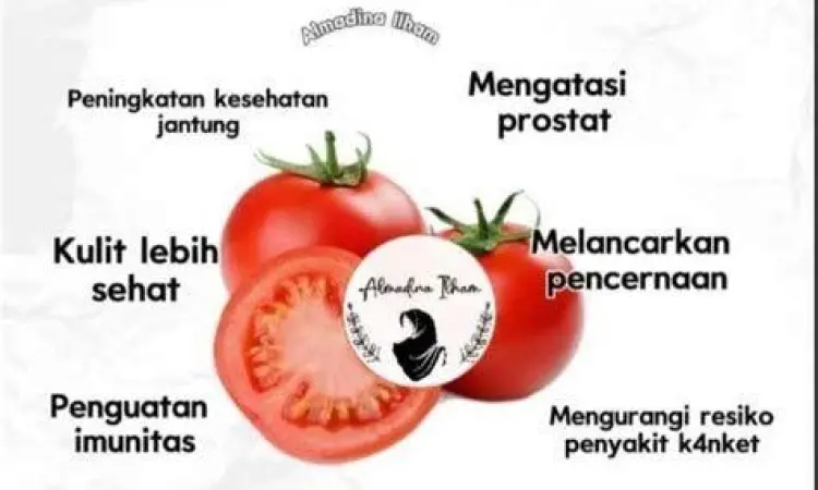 Antioksidan Likopen pada Tomat Struktur likopen dalam tomat merah