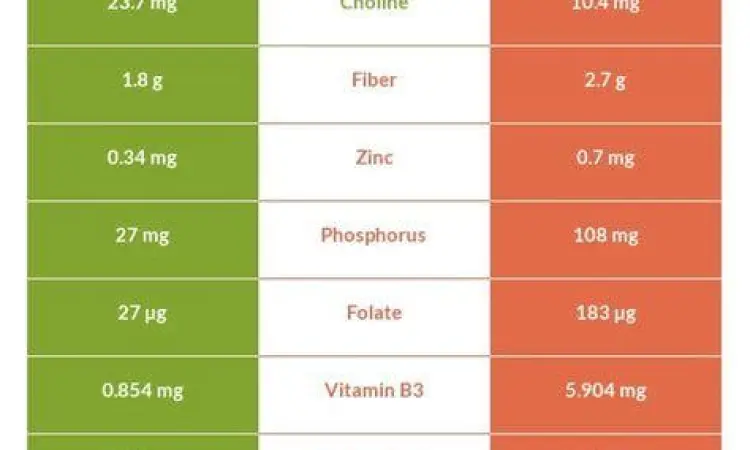 perbandingan tepung singkong dan terigu