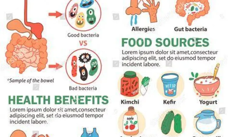 Ilustrasi bakteri probiotik di dalam usus anak
