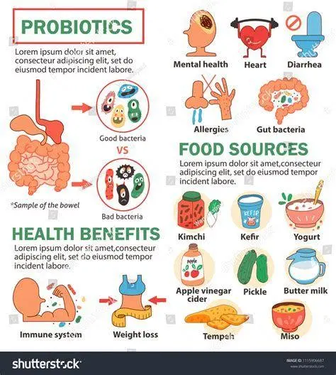 Bakteri Baik Usus Ilustrasi bakteri probiotik di dalam usus anak