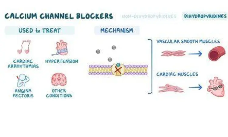 Mekanisme kerja diltiazem pada kanal kalsium