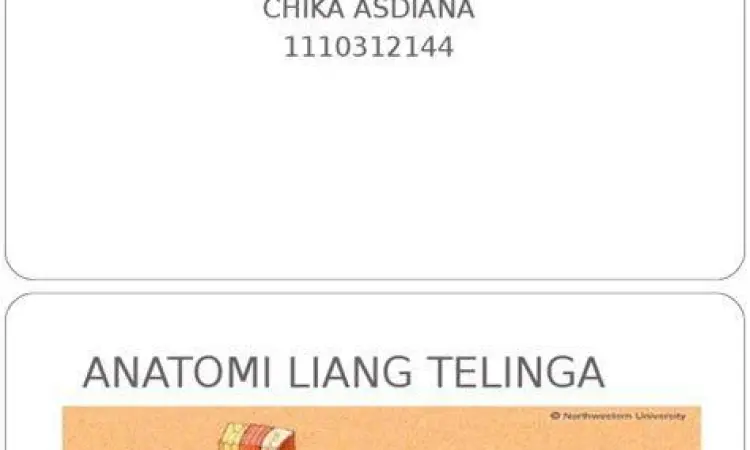 Struktur anatomi telinga manusia dan penumpukan serumen