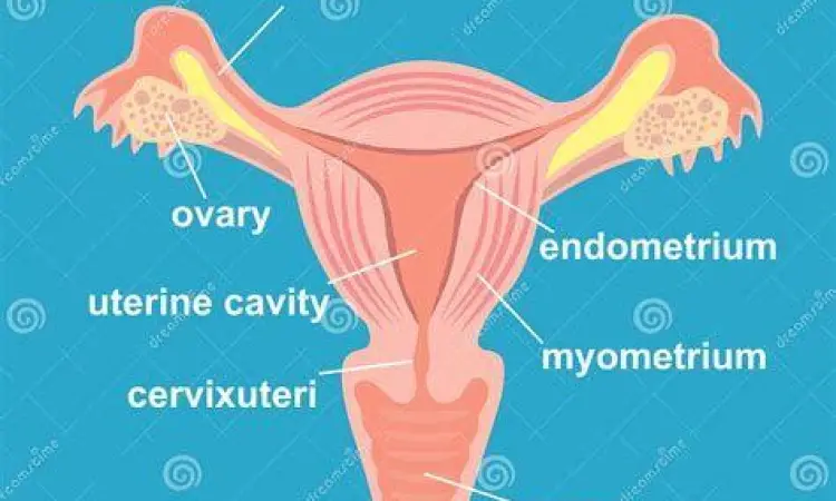 Diagram rahim tuba falopi dan ovarium pada wanita