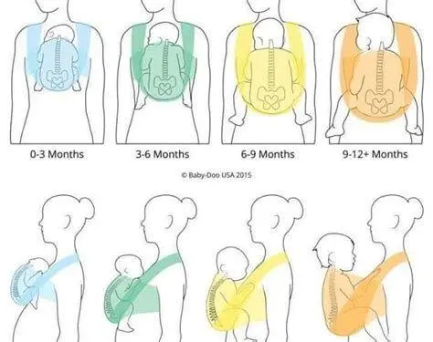 Posisi Kaki Bayi Posisi kaki bayi yang benar saat digendong m-shape