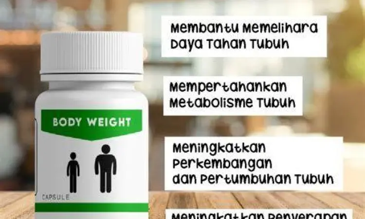 Suplemen Berat Badan Medis Berbagai jenis suplemen penambah berat badan yang aman