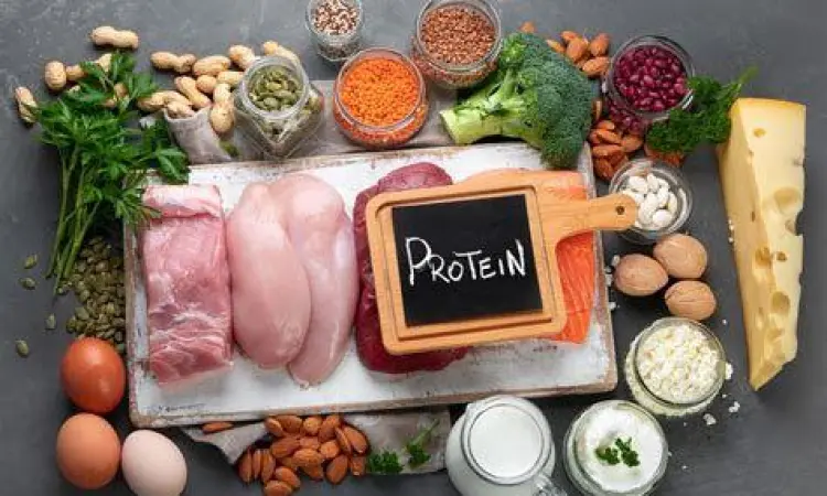 Makanan Pendukung Berat Badan Makanan sehat tinggi protein untuk menaikkan berat badan