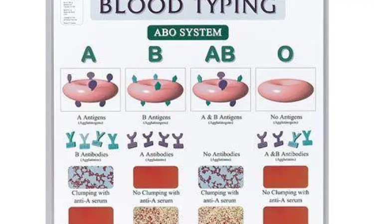 Uji golongan darah di laboratorium rumah sakit