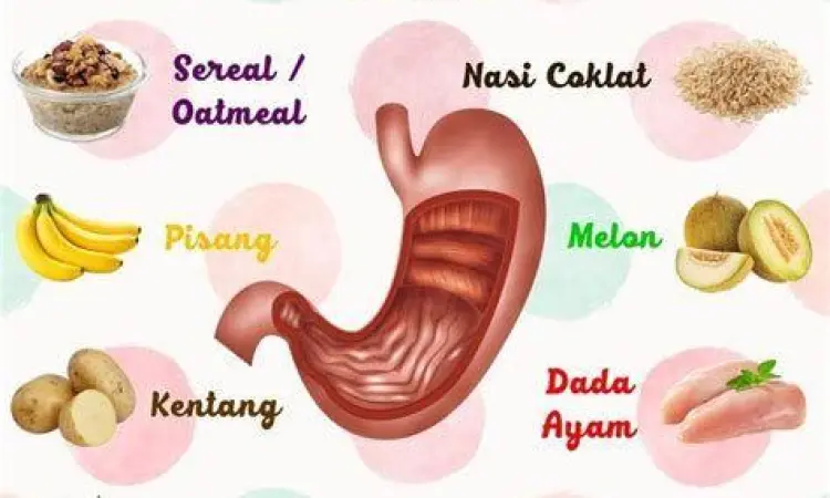Pola Makan Lambung Pola makan sehat untuk penderita lambung