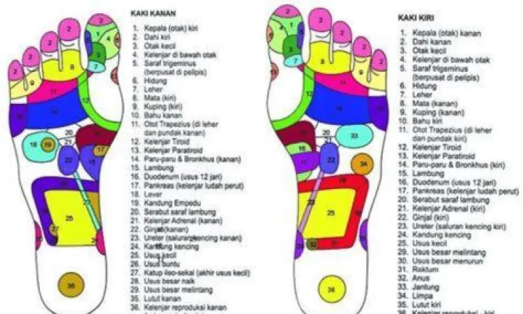 Terapi Pendukung Pegal Linu terapi pijat untuk pegal linu