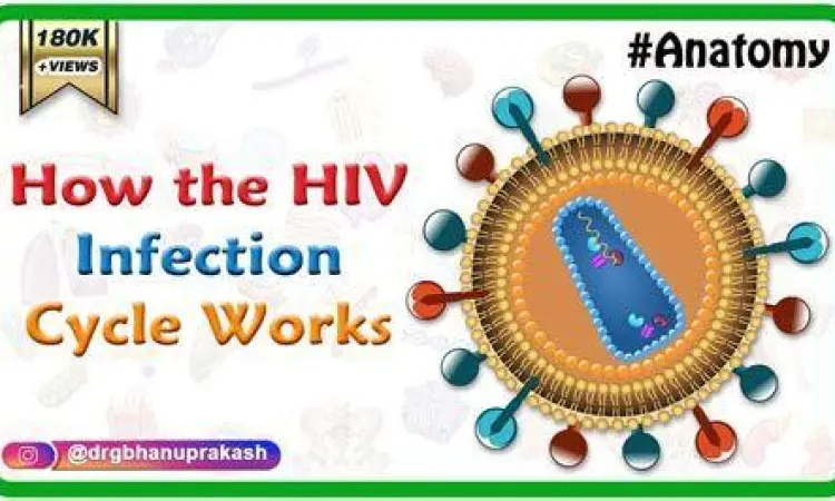 Mekanisme Infeksi HIV mekanisme virus hiv menyerang sistem imun