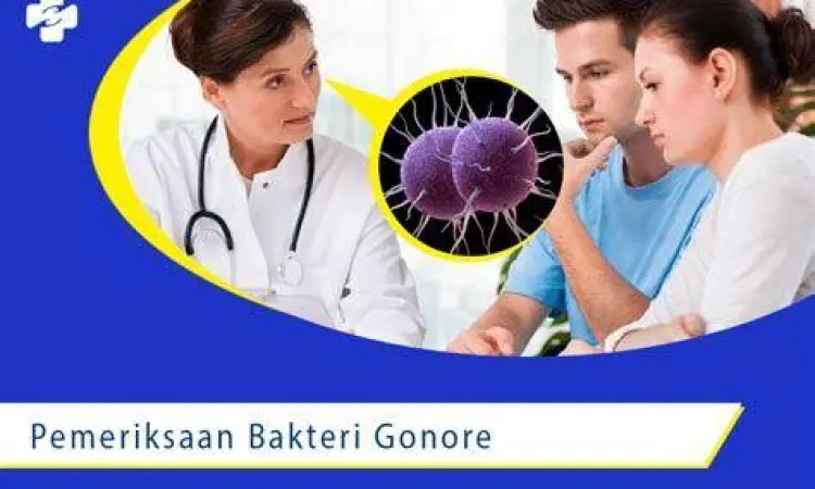 Prosedur pemeriksaan laboratorium untuk diagnosis kencing nanah