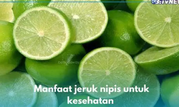 Jeruk Nipis dan Ginjal Representasi kesehatan ginjal dengan konsumsi jeruk nipis