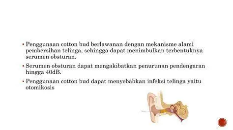 Kesehatan Telinga Cara membersihkan telinga yang benar menurut medis