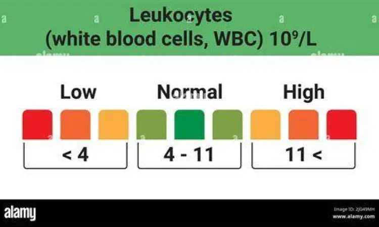 Laporan Tes Darah Leukosit Hasil laboratorium menunjukkan kadar leukosit normal