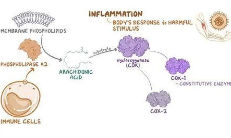 Mekanisme kerja obat anti inflamasi kortikosteroid