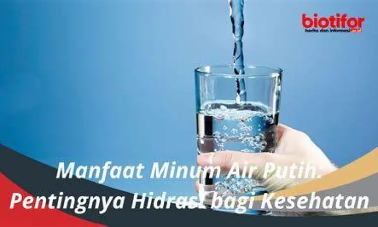 Pentingnya Hidrasi Seseorang minum air putih dari gelas