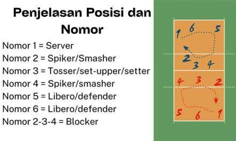 Diagram posisi enam pemain voli di lapangan