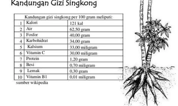 Infografis kandungan nutrisi daun singkong