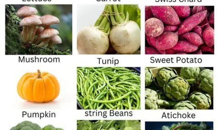 Makanan Penyeimbang Gula Darah Berbagai jenis sayuran hijau dan makanan berserat tinggi