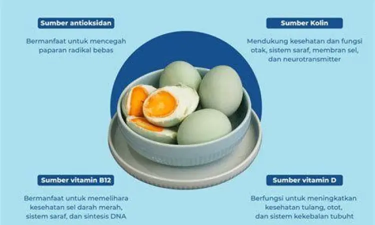 Infografis kandungan gizi telur bebek asin dan mineralnya