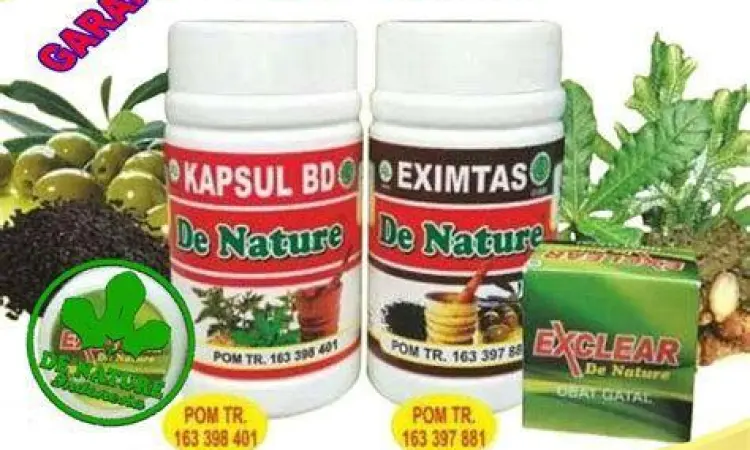 Bahan alami lidah buaya sebagai obat gatal gatal