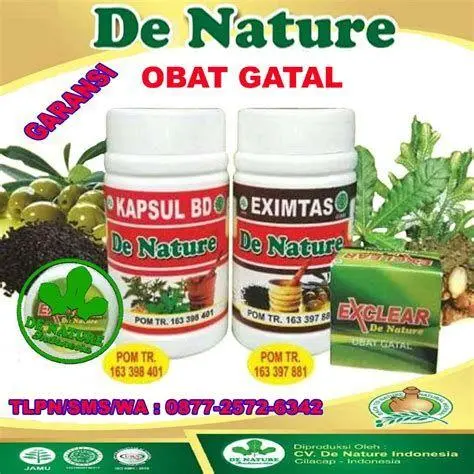 Lidah Buaya untuk Kulit Bahan alami lidah buaya sebagai obat gatal gatal
