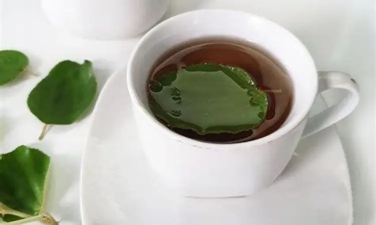 teh herbal daun bidara dalam cangkir