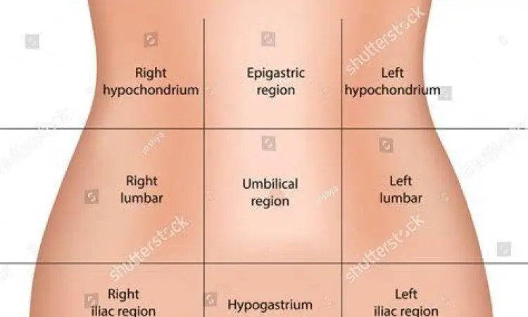 Pembagian Kuadran Abdomen Diagram kuadran perut untuk diagnosis abdominal pain
