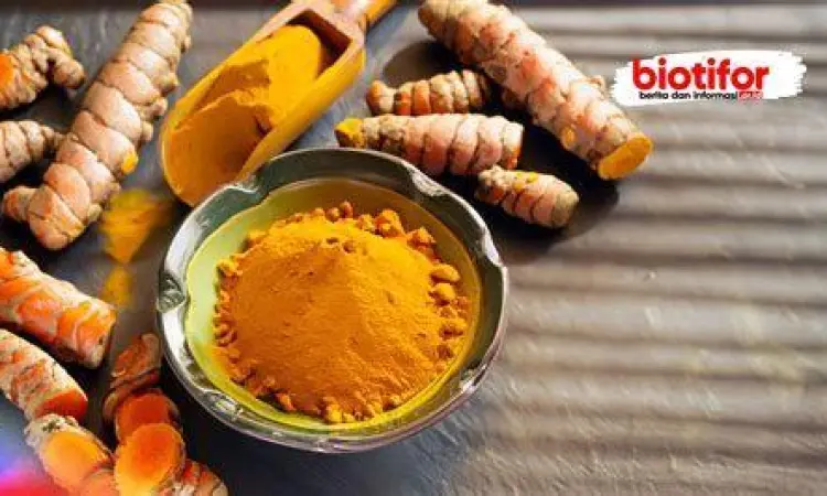 Bahan Herbal Pelancar Haid Bahan dasar jamu pelancar haid kunyit dan jahe