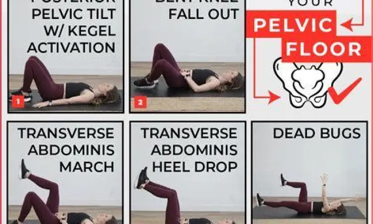 Kesehatan Otot Panggul Latihan otot panggul untuk kesehatan seksual