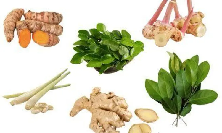 Lempuas dan daun salam segar