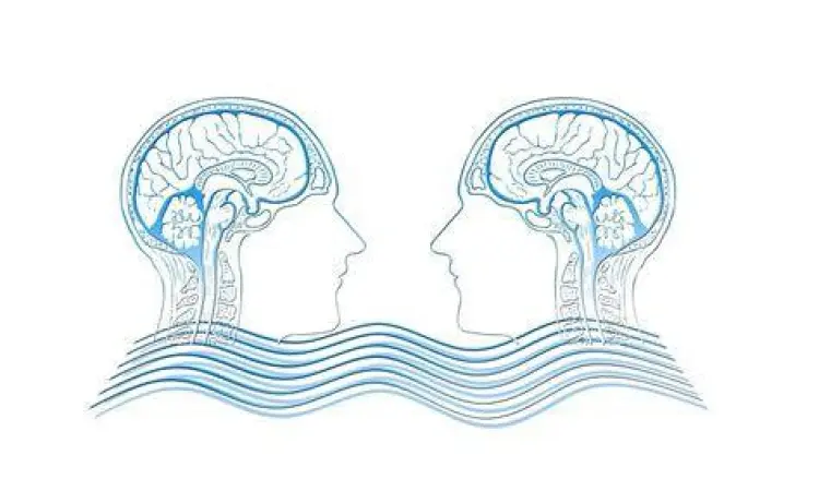 Neurobiologi Empati Ilustrasi struktur otak manusia terkait empati