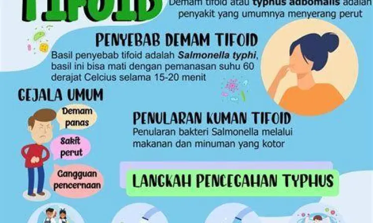 Ilustrasi gejala demam tifoid