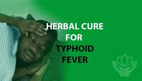 Kunyit sebagai Anti-inflamasi Ramuan kunyit untuk tipes