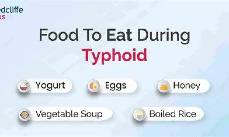 Makanan rendah serat untuk tipes