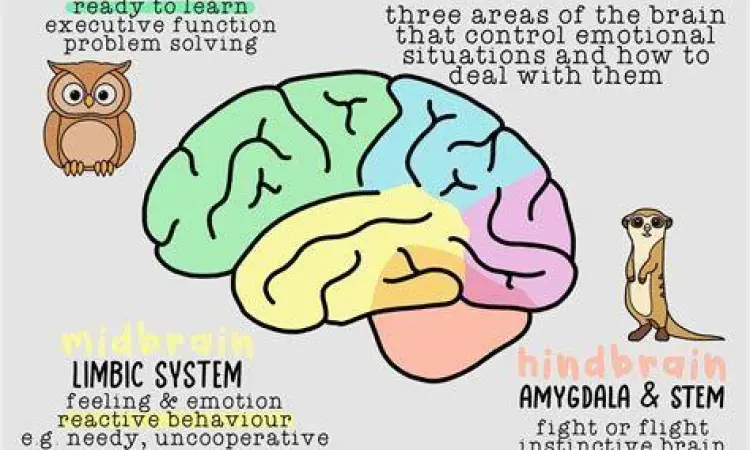 Ilustrasi neurotransmitter di otak yang mengatur emosi