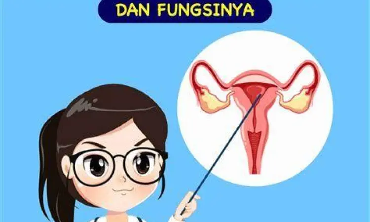 ilustrasi kesehatan reproduksi wanita yang bersih dan sehat