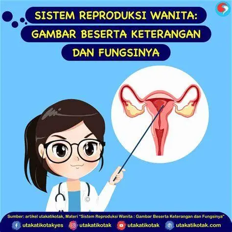 Kesehatan Organ Intim Wanita ilustrasi kesehatan reproduksi wanita yang bersih dan sehat