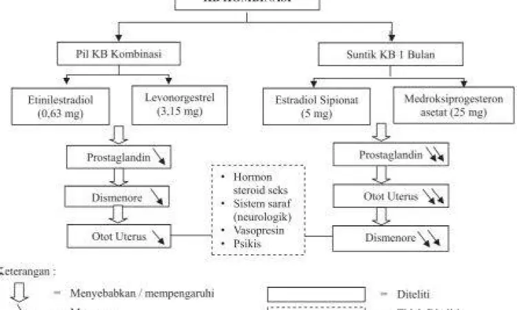 Mekanisme Kerja Pil KB Ilustrasi cara kerja pil KB kombinasi di dalam rahim