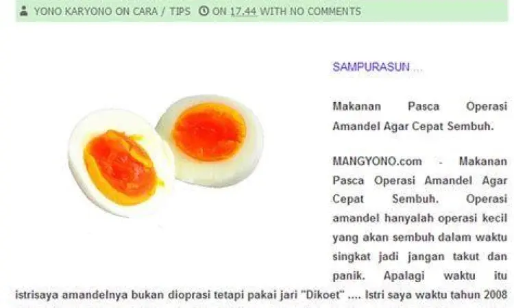 Makanan lunak untuk pemulihan amandel