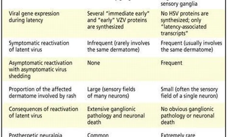 Perbedaan visual herpes simplex dan zoster