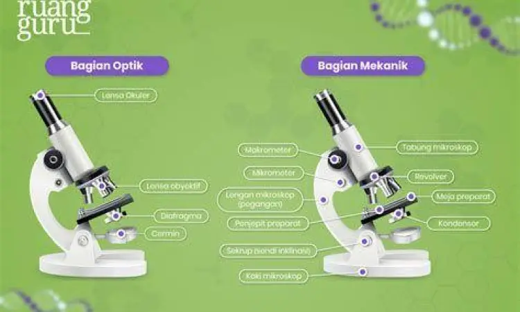 Struktur sel penyusun ciri makhluk hidup